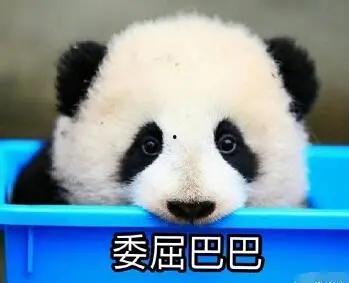 娱乐吃瓜酱熊猫生气 第1张 娱乐吃瓜酱熊猫生气 第1张